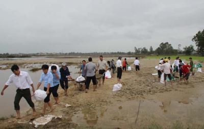 Cứu hơn 2.000 ha lúa Đông Xuân bị úng ngập 